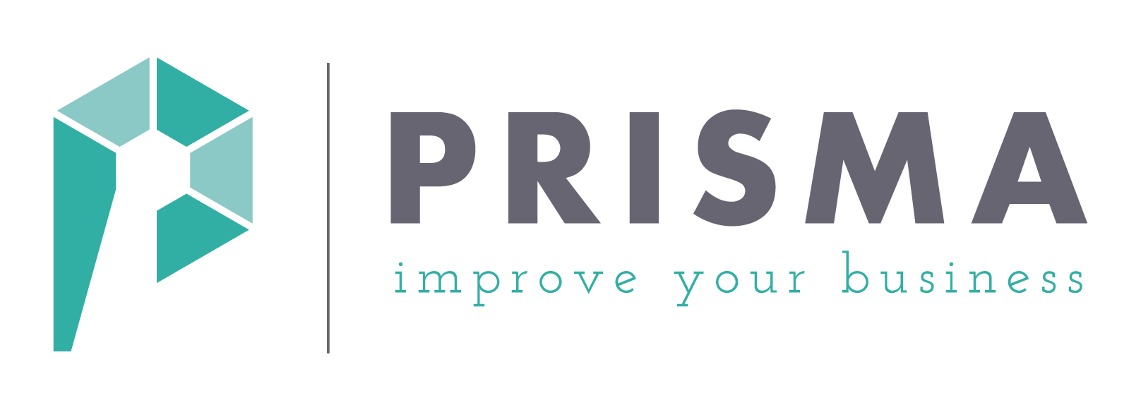 logo-prisma-2024-12