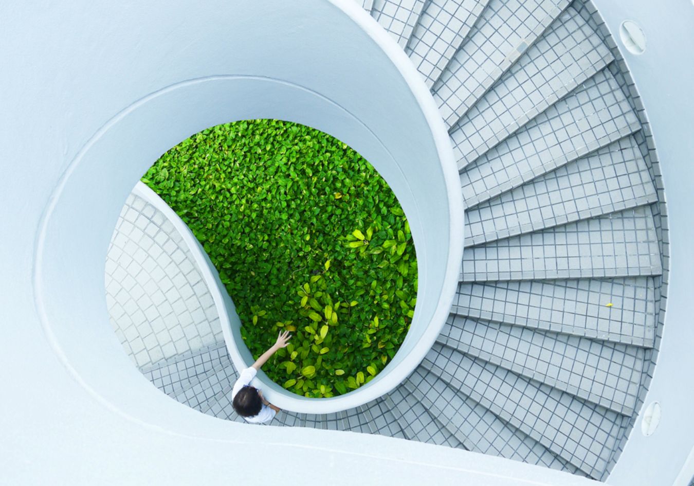 person-stairs-touch